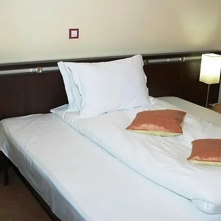 Guest house Camelia 3*