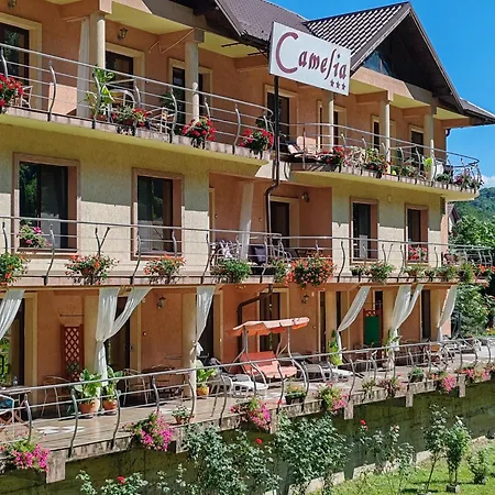 Guest house Camelia 3*