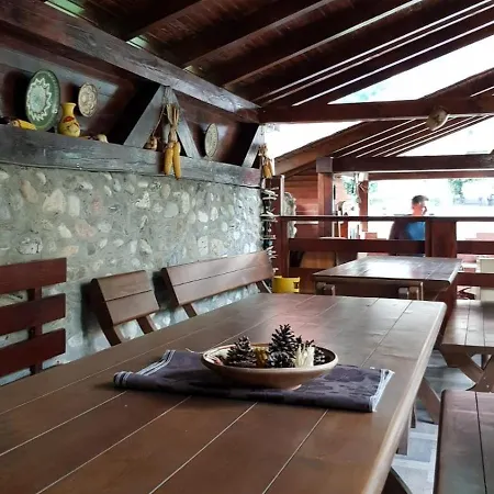 Guest house Camelia Baile Herculane