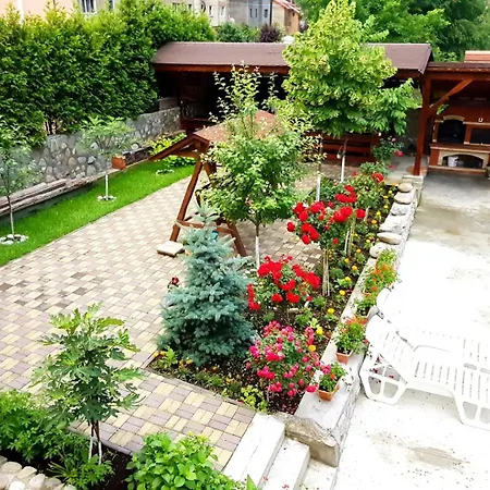 Camelia Guest house 3*