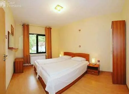 Guest house Camelia 3*