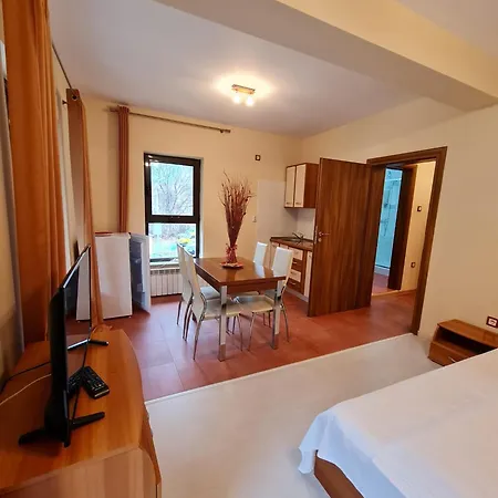 Camelia Guest house 3*